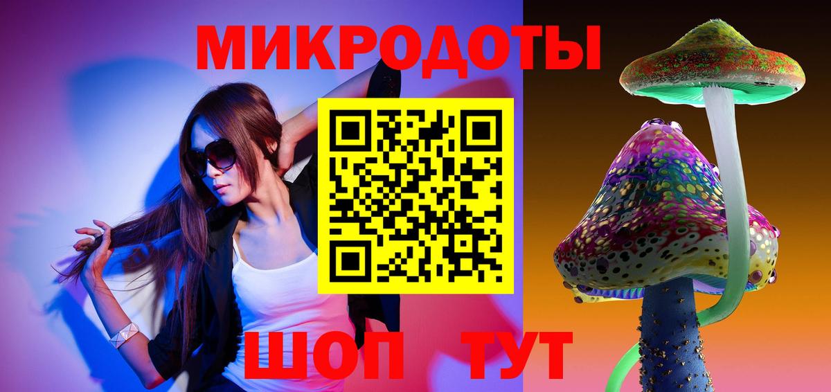 Псилоцибиновые грибы Psilocybe Донецк