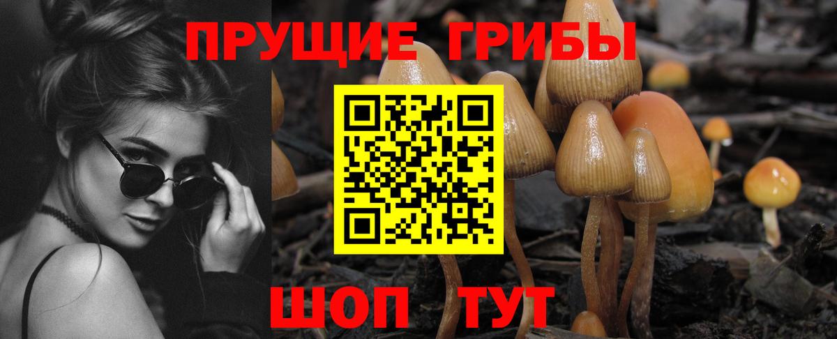 Донецк  Галлюциногенные грибы MAGIC MUSHROOMS  Вход с VPN 